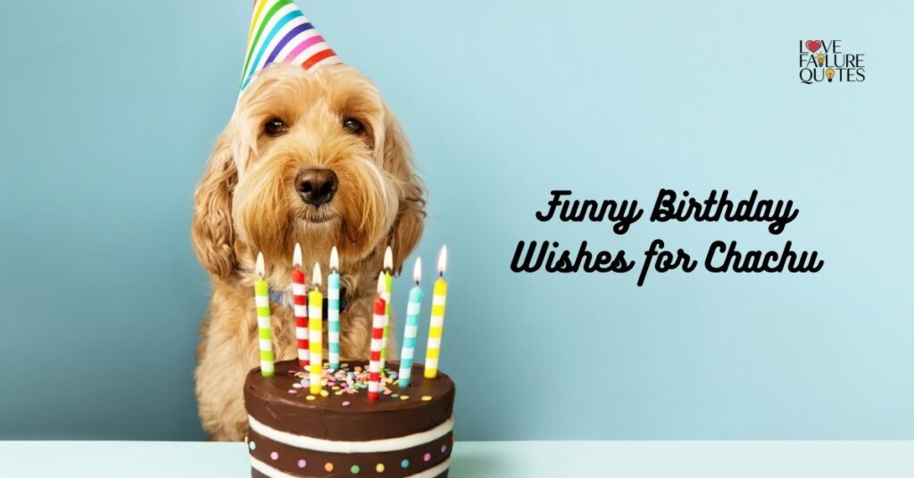 Funny Birthday Wishes for Chachu